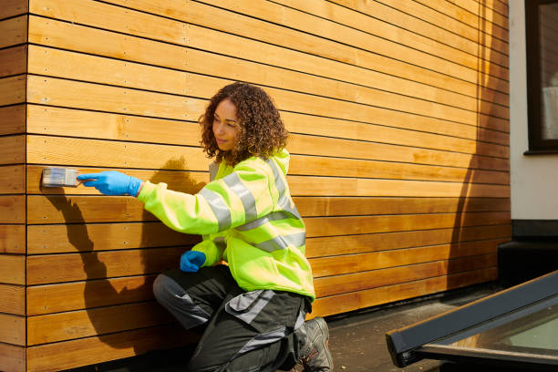 Best Steel Siding Installation  in Kalona, IA