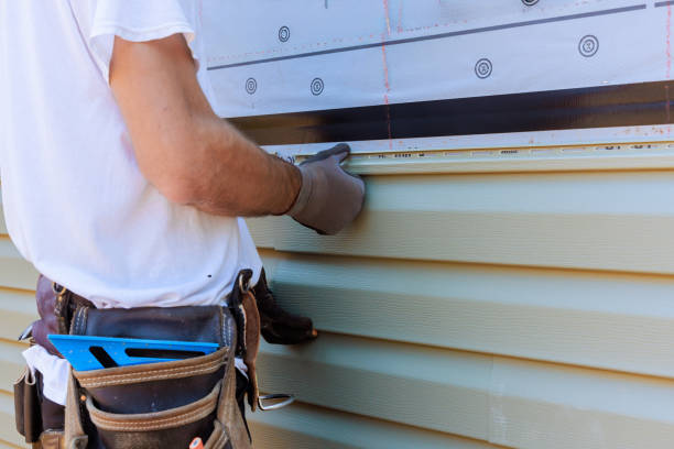 Best Custom Siding Design  in Kalona, IA